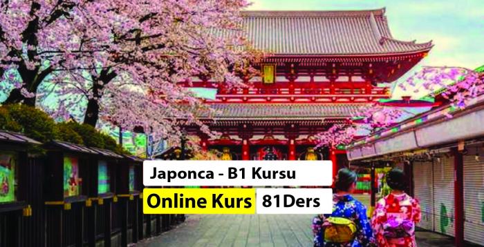 Japonca Online B1 Kursu